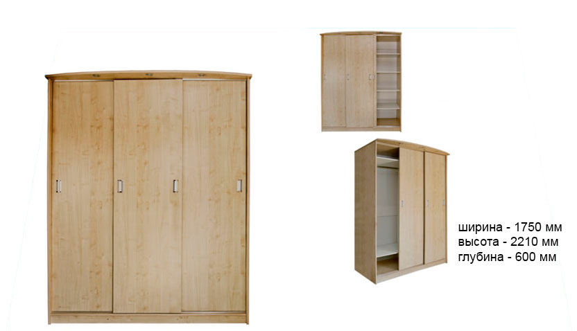 Шкаф купе 3-хдверный СШ-010.09